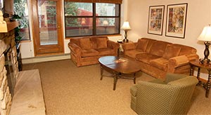Silver 1BR Condo