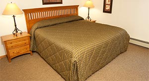 Silver 1BR Condo