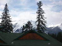 Click Here for a larger view