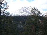 Click Here for a larger view