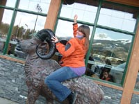 Click Here for a larger view