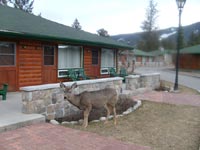 Click Here for a larger view