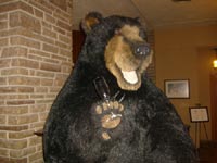 Click Here for a larger view