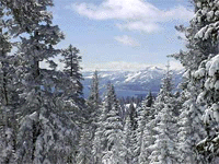 View of Lake Tahoe