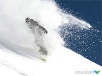 Outrageous Powder